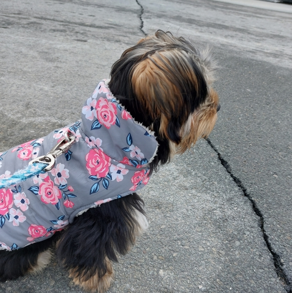 2 Floral Gray & Pink Dog Winter Jackets